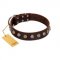 "Gape Buster" FDT Artisan Brown Leather English Pointer Collar with One Row of Studs