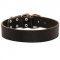 Wide Leather English Pointer Collar for Training and Walking