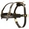 Leather English Pointer Harness for Tracking and Pulling