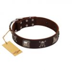 "Nut-Brown Finery" Embellished FDT Artisan Brown Leather English Pointer Collar with Chrome Plated Crossbones and Plates