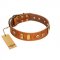 "Egyptian Script" FDT Artisan Tan Leather English Pointer Collar with Plates and Small Studs