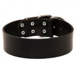 Extra Wide Leather English Pointer Collar for Professional Training