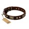 "Magic Amulet" Brown Leather English Pointer Collar with Skulls and Plates