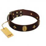 "Victory and Laurels" FDT Artisan Brown Leather English Pointer Collar with Ovals and Stars