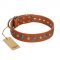 "Natural Beauty" FDT Artisan Tan Leather English Pointer Collar with Shining Silver-like Studs