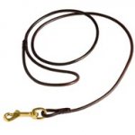 Fully Beneficial Show Leather English Pointer Leash - Comfort for You and Your Dog