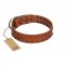 "Star Light" Stylish FDT Artisan Tan Leather English Pointer Collar with Silver-Like Studs