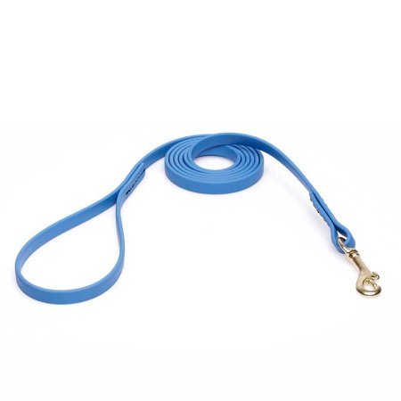 Amazing Blue Biothane English Pointer Leash for Walking, Tracking