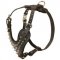 Spiked Leather English Pointer Harness for Fashionable Walking