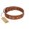 "Egyptian Gifts" Handmade FDT Artisan Tan Leather English Pointer Collar with Chrome-plated Pyramids