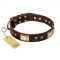 "Rich Fashion" FDT Artisan Decorated Leather English Pointer Collar with Plates and Studs