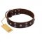 "Skull Valley" Handcrafted FDT Artisan Brown Leather English Pointer Collar with Skulls