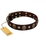 "Snazzy Paws" FDT Artisan Brown Leather English Pointer Collar Adorned with Conchos and Medallions