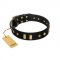 "De Luxe" FDT Artisan Black Leather English Pointer Collar with Old Bronze-like Plates and Studs