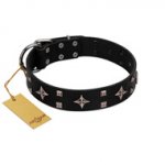 "Snappy Dresser" FDT Artisan Black Leather English Pointer Collar Adorned with Stars and Tiny Squares