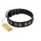 "Mister Exclusive" Designer FDT Artisan Black Leather English Pointer Collar with Medallions