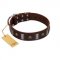"War Chief" FDT Artisan Genuine Brown Leather English Pointer Collar with Skulls and Plates
