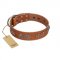 "Brave Spirit" Handmade FDT Artisan Designer Tan Leather English Pointer Collar with Shields