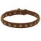 Handcrafted 1 Row Square Studded Leather English Pointer Collar