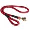 Nylon Cord English Pointer Leash for Walking and Training