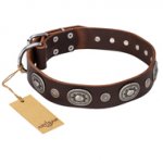 "Extra Pizzazz" FDT Artisan Adorned Brown Leather English Pointer Collar