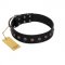 "Flower Rhapsody" FDT Artisan Premium Quaulity Black Leather English Pointer Collar