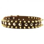 Spiked and Studded English Pointer Leather Collar