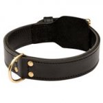 Training 2 Ply Leather English Pointer Collar
