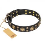 "Baroque Chic" FDT Artisan Studded Black Leather English Pointer Collar
