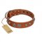 "Era Infinitum" FDT Artisan Tan Leather English Pointer Collar Adorned with Chrome-plated Circles
