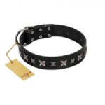 "Polar Lights" Designer FDT Artisan Black Leather English Pointer Collar with Silver-Like Studs