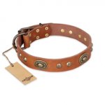 "Stunning Dress" FDT Artisan Tan Leather English Pointer Collar with Old Bronze Look Plates and Studs