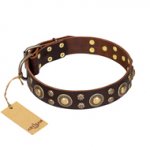 "Flower Melody" FDT Artisan Brown Leather English Pointer Collar with Mixed Studs