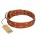 "Tawny Beauty" FDT Artisan Tan Leather English Pointer Collar Adorned with Stars and Tiny Squares