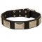 Leather English Pointer Collar with Large Nickel-covered Plates