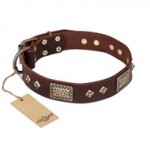 "Loving Owner" FDT Artisan Decorated Leather English Pointer Collar with Plates and Studs