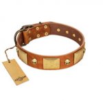 "Mutt The Daredevil" FDT Artisan Tan Leather English Pointer Collar with Old Bronze-like Skulls and Plates