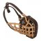 Basket-Like English Pointer Muzzle Leather