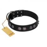 "Silver Medallions" Mod FDT Artisan Black Leather English Pointer Collar with Round Plates