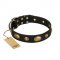 "Eye-Catcher" FDT Artisan Black Leather English Pointer Collar for Walking in Style