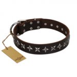 "Stars of Glory" FDT Artisan Brown Leather English Pointer Collar for Comfortable Walking
