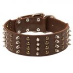 Extra Wide Leather Spiked and Studded English Pointer Collar