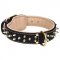 Royal Leather English Pointer Collar Spiked Padded with Nappa Leather