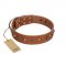 "Silver Age" Fashionable FDT Artisan Tan Leather English Pointer Collar with Silver-Like Studs