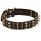 English Pointer Leather Dog Collar with Rows of Spikes and Studs