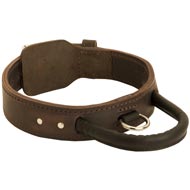 Extra Durable Leather English Pointer Collar with Handle for Attack Training Extra Durable Leather English Pointer Collar with Handle for Attack Training