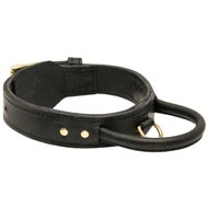 Extra Durable Leather English Pointer Collar with Handle for Attack Training