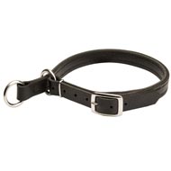 English Pointer Leather Choke Collar