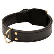 Training 2 Ply Leather English Pointer Collar