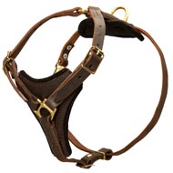 Tracking Leather English Pointer Harness With Padded Chest Plate